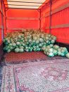 грузоперевозки в оренбурге